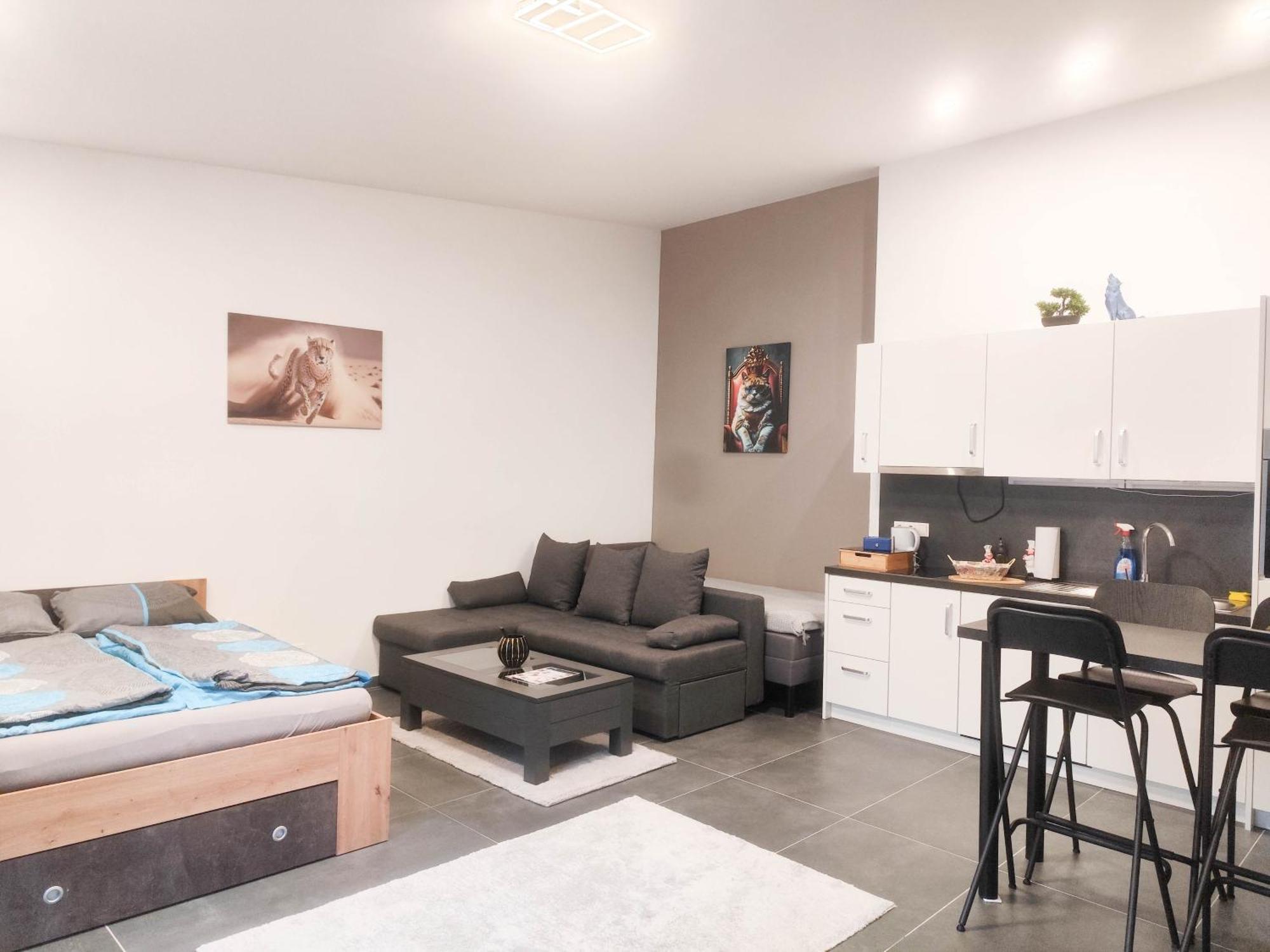 Cozy Apartments In Central Location With Free Parking Wina Bagian luar foto